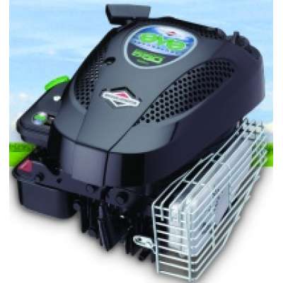 Двигатель Briggs&Stratton 550 Series EVE 10L8